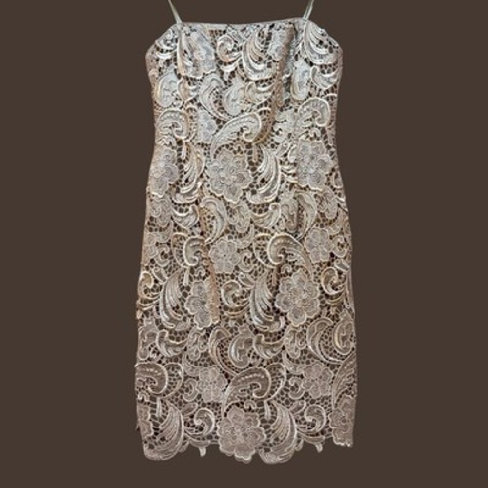 Adrianna Papell Gold Lace Overlay Knee Length Dress Women's Size 8